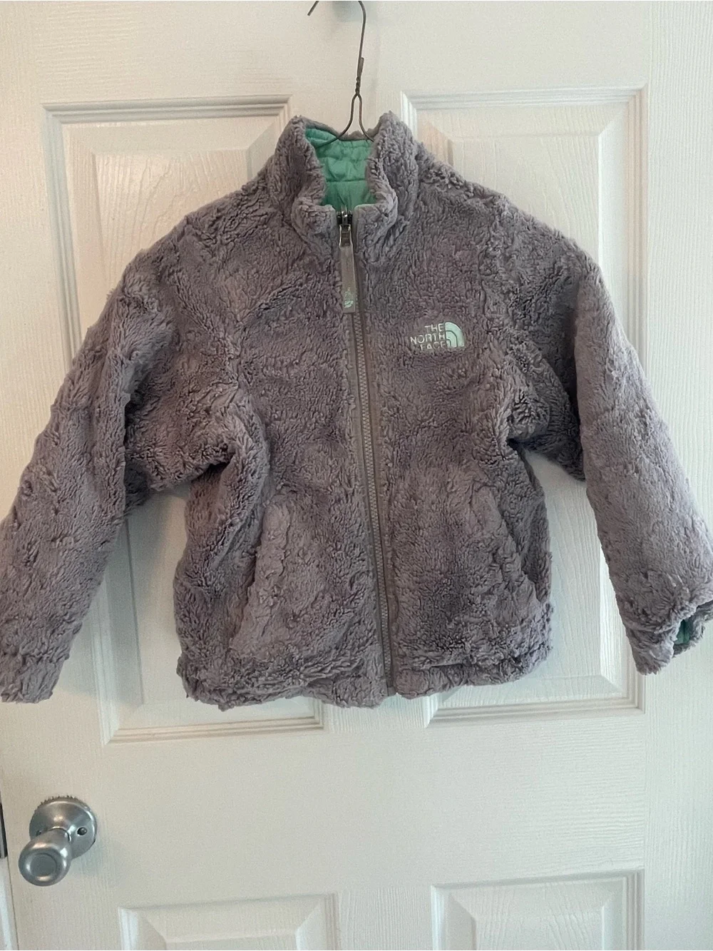 The North Face Girls' Teal Puffer Jacket with Gray Trim